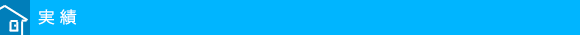 実績